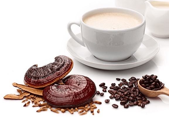 روش مصرف قهوه گانودرما | روش مصرف قهوه گانودرما دکتر بیز | روش مصرف قهوه گانودرما | طریقه مصرف قهوه گانودرما | نحوه مصرف قهوه گانودرما دکتر بیز | طرز مصرف قهوه گانودرما | زمان مصرف قهوه گانودرما | زمان مصرف قهوه گانودرما موکا | زمان مصرف قهوه گانودرما سوپریم | بهترین زمان مصرف قهوه گانودرما | بهترین زمان مصرف قهوه گانودرما دکتر بیز | بهترین زمان خوردن قهوه گانودرما | بهترین زمان مصرف قهوه موکا گانودرما | زمان استفاده از قهوه گانودرما | بهترین زمان مصرف قارچ گانودرما