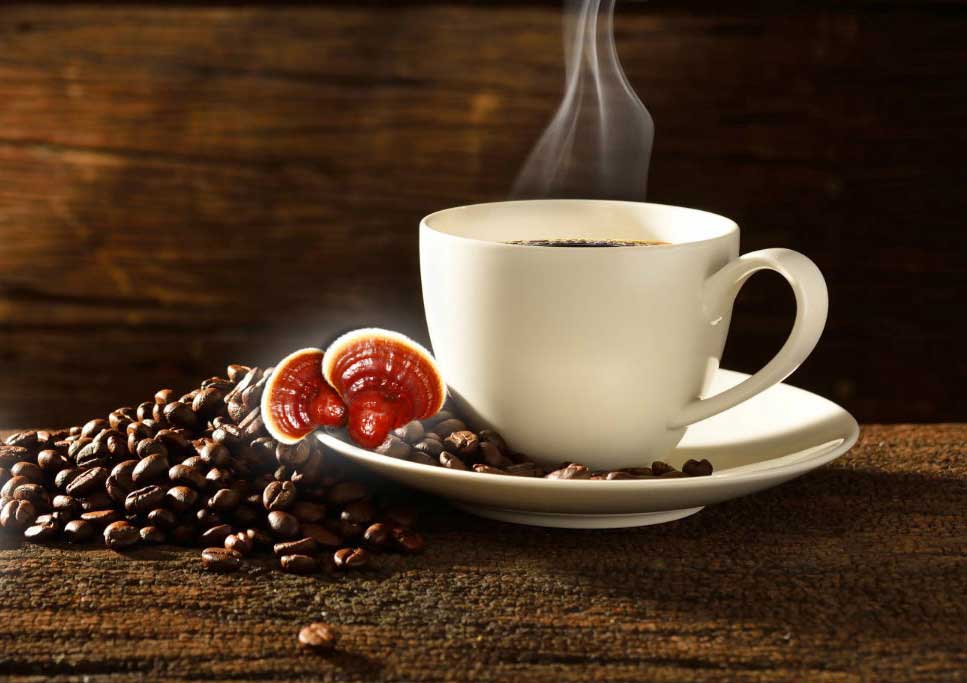 روش مصرف قهوه گانودرما | روش مصرف قهوه گانودرما دکتر بیز | روش مصرف قهوه گانودرما | طریقه مصرف قهوه گانودرما | نحوه مصرف قهوه گانودرما دکتر بیز | طرز مصرف قهوه گانودرما | زمان مصرف قهوه گانودرما | زمان مصرف قهوه گانودرما موکا | زمان مصرف قهوه گانودرما سوپریم | بهترین زمان مصرف قهوه گانودرما | بهترین زمان مصرف قهوه گانودرما دکتر بیز | بهترین زمان خوردن قهوه گانودرما | بهترین زمان مصرف قهوه موکا گانودرما | زمان استفاده از قهوه گانودرما | بهترین زمان مصرف قارچ گانودرما